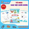 Vở tô màu động vật dưới nước