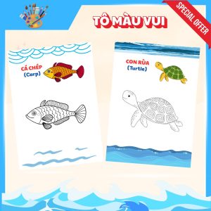 Tô màu con vật dưới nước