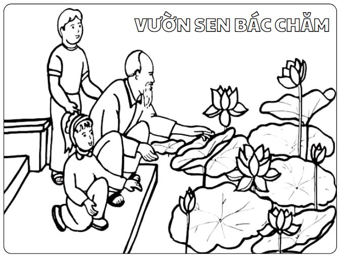 Tô màu Bác Hồ bên hồ sen tự chăm sóc