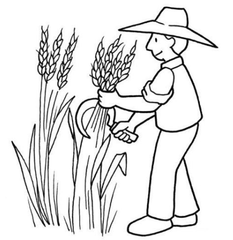 Tranh tô màu Nghề Nông – Bé khám phá cuộc sống đồng quê