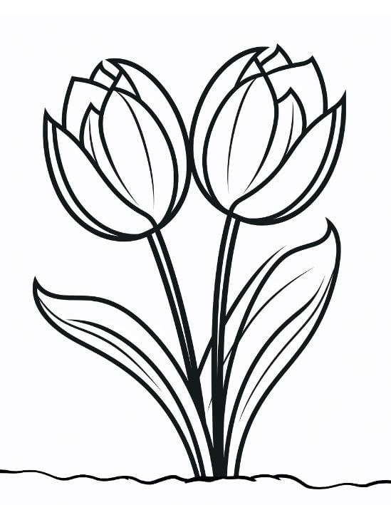 Hình tô màu hoa tulip cho bé mới tập tô