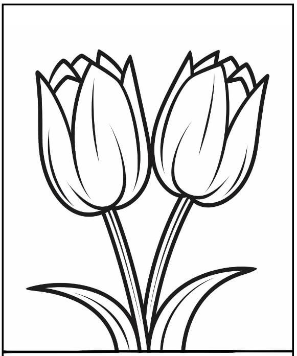 Tranh tô màu tulip – Chủ đề hoa bé nào cũng mê