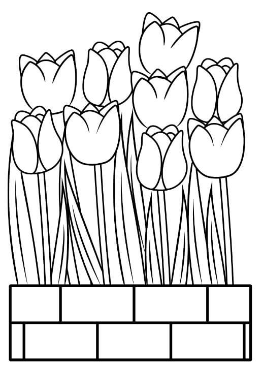 Trang tô màu hoa tulip đầy cảm hứng cho bé
