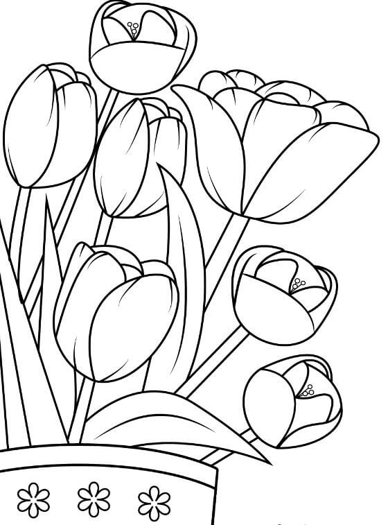  mẫu tranh hoa tulip tải về tinh tế
