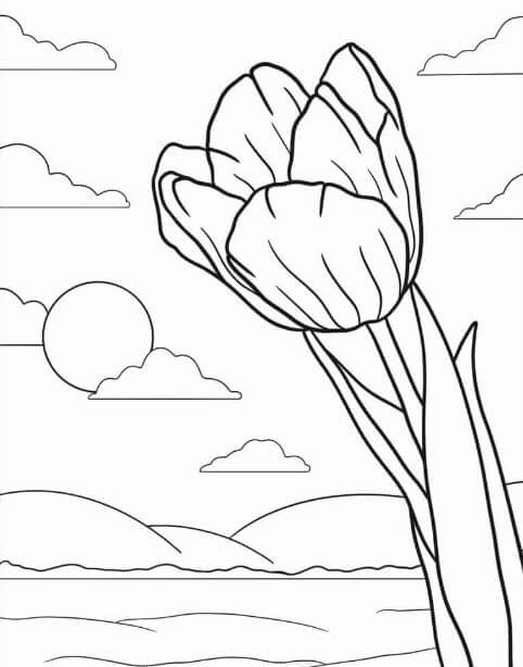 Nhánh hoa Tulip đẹp giữa trời