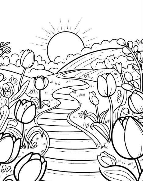 Đón bình mình cùng hoa tulip