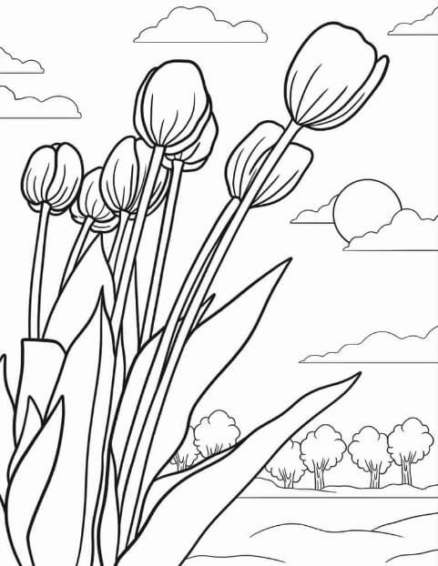 Tập tô hoa tulip thật đẹp