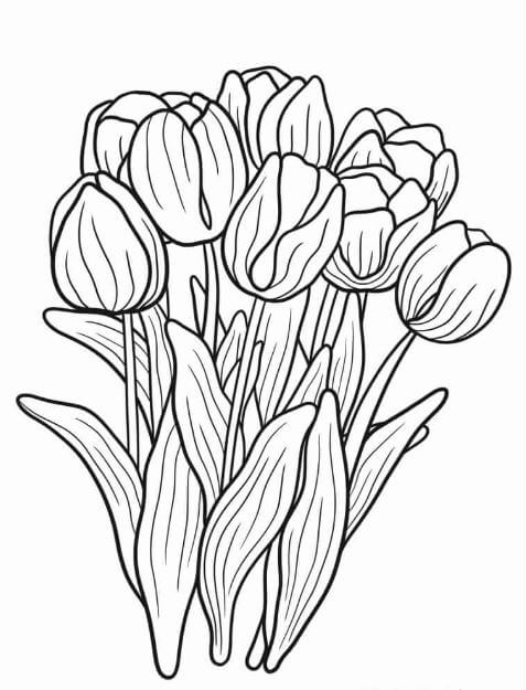 Bộ sưu tập tranh tô màu hoa tulip đẹp nhất