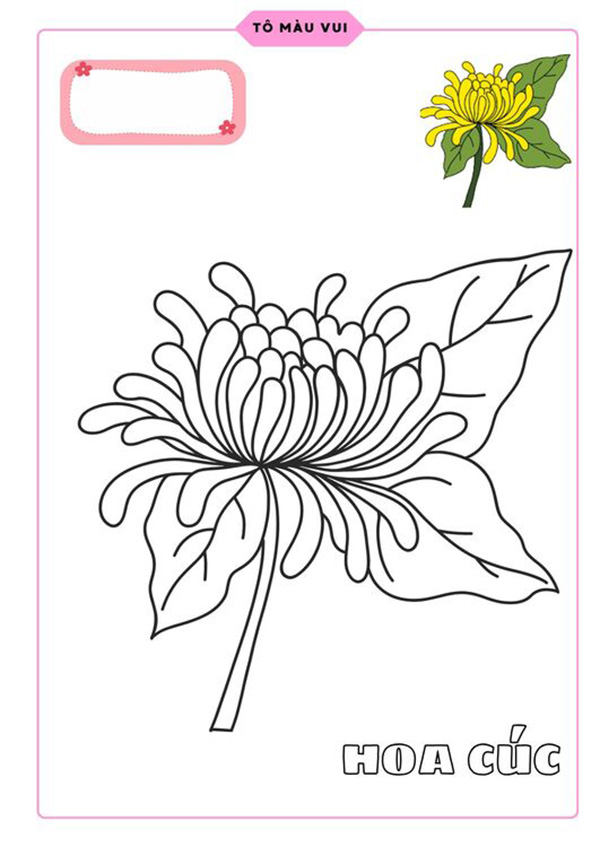 Tranh tô màu hoa cúc