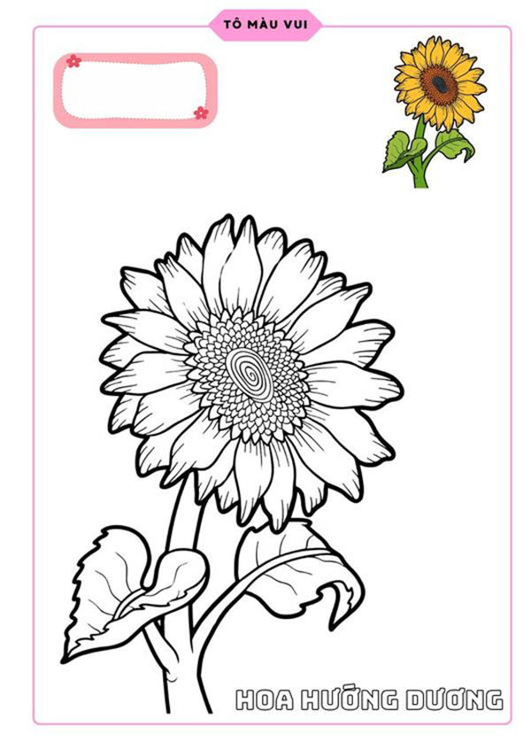 tranh tô màu hoa hướng dương