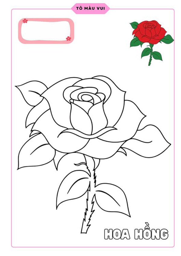 tranh tô màu hoa hồng