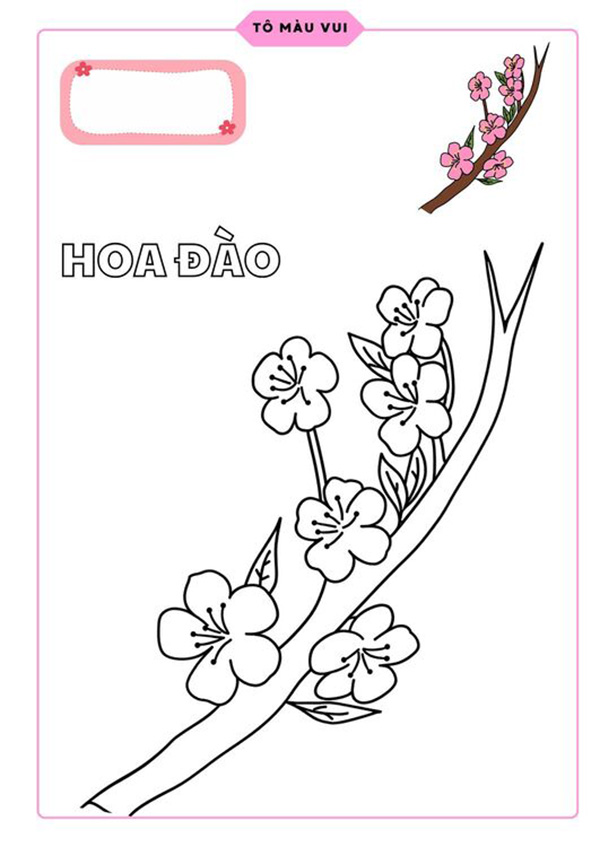 tranh tô màu hoa đào
