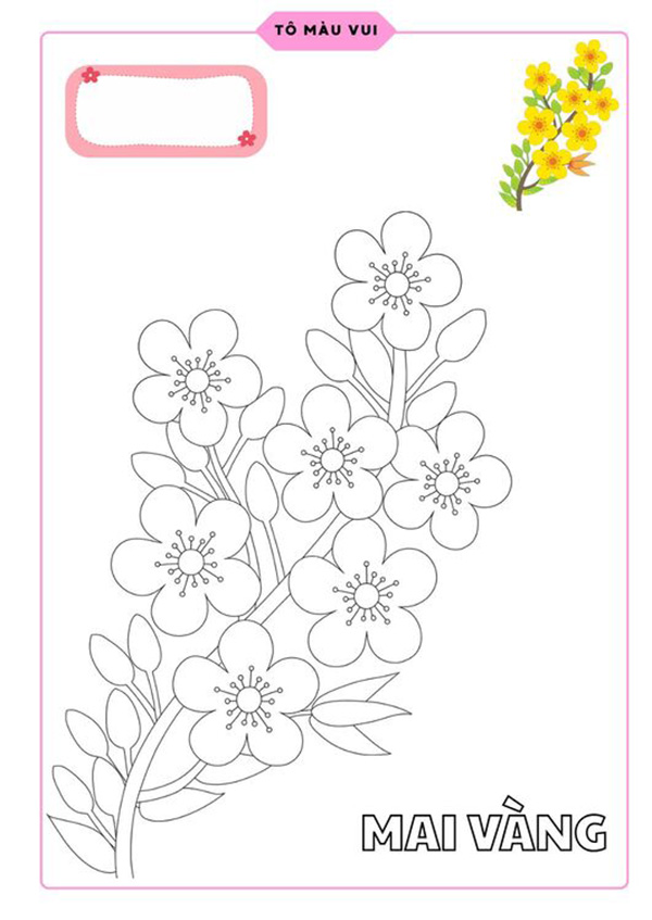 tranh tô màu hoa mai vàng