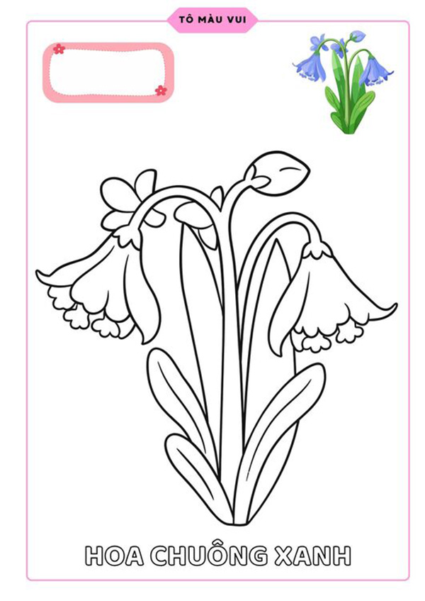 Tranh tô màu hoa chuông xanh